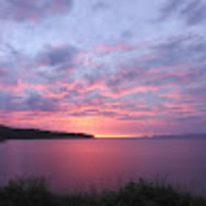 Meet your Posher, Bella